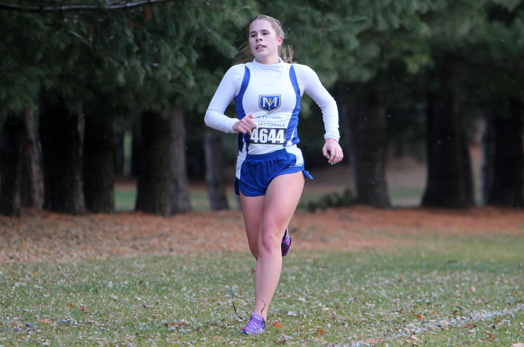 Division 3 Cross Country Sub-Sectional at Colfax 10-19-20